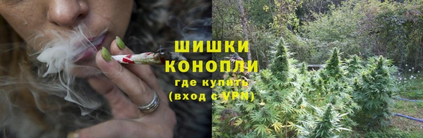 сатива Краснослободск