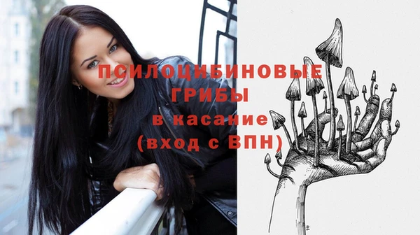 сатива Краснослободск