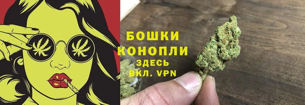 сатива Краснослободск