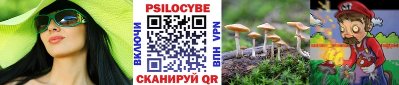 Купить где  Геленджик  Псилоцибиновые грибы GOLDEN TEACHER 